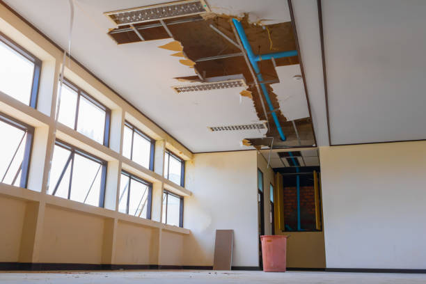 Best Carpet water damage restoration  in Wheeling, WV