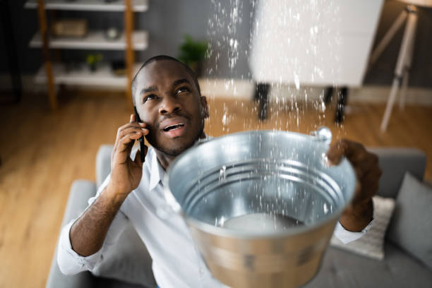 Best Water damage restoration near me  in Wheeling, WV