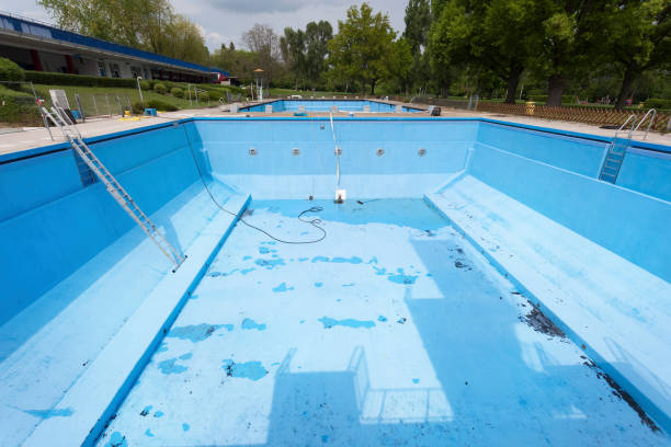 Best Professional water damage repair  in Wheeling, WV
