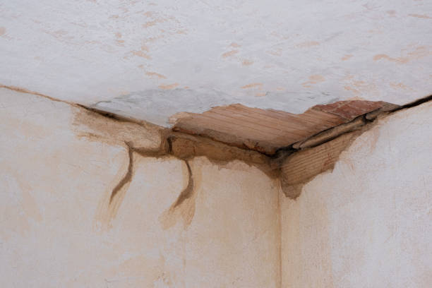 Best Water damage contractors near me  in Wheeling, WV
