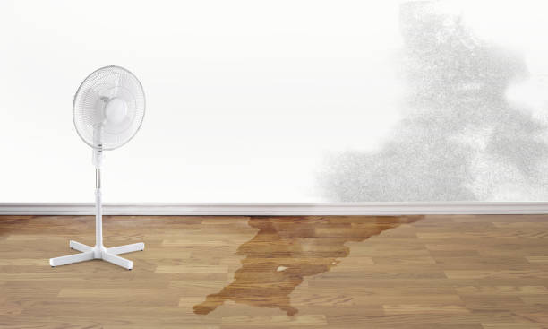 Water damage restoration process in Wheeling, WV
