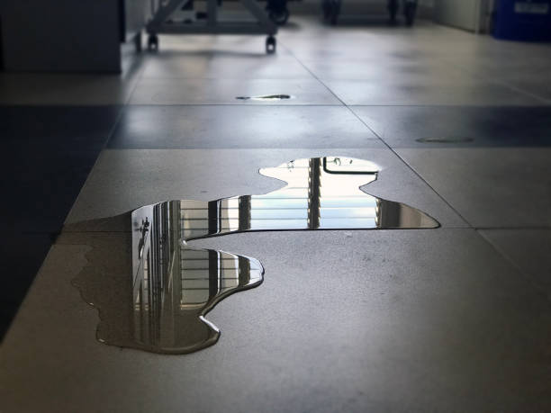 Best Commercial water damage restoration  in Wheeling, WV