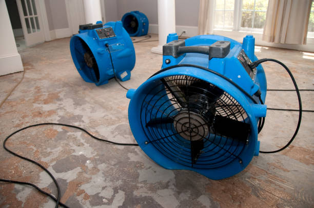 Best Ceiling water damage repair  in Wheeling, WV