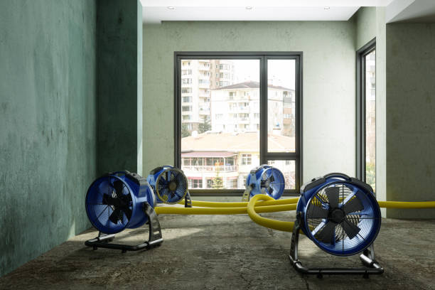 Best Flood restoration services  in Wheeling, WV