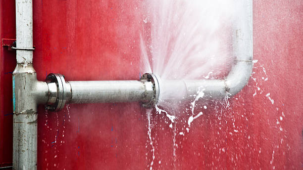 Best Water damage restoration company  in Wheeling, WV